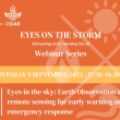 IWMI_WebinarSat.png